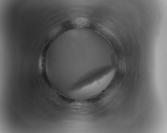 X0000089731346200707051731
