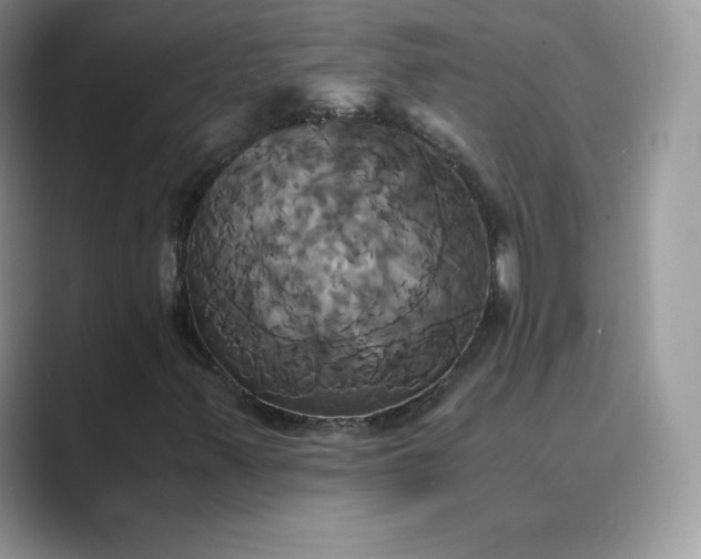 X0000089731347200707051731