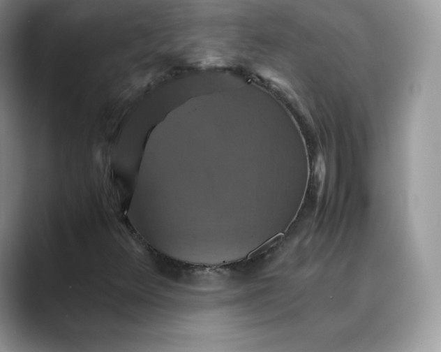 X0000089731348200707051731