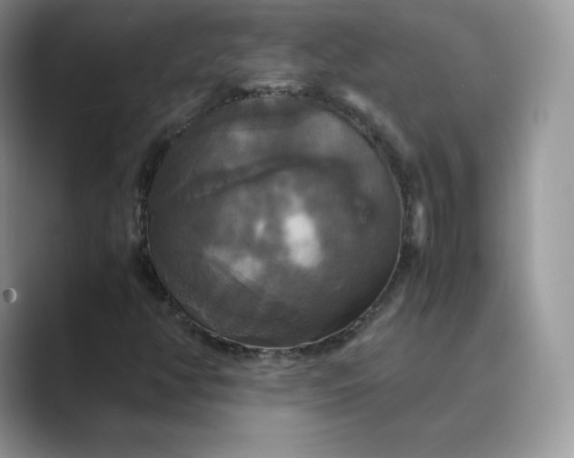 X0000089731350200707051731