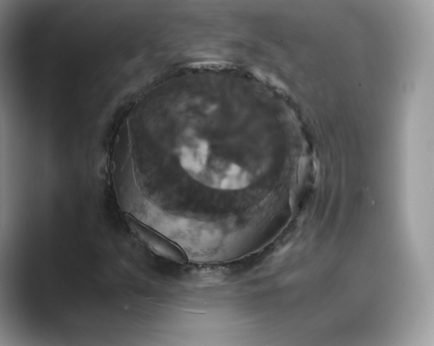 X0000089731351200707051731
