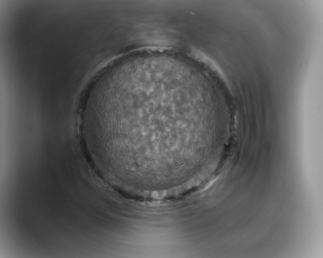 X0000089731352200707051731