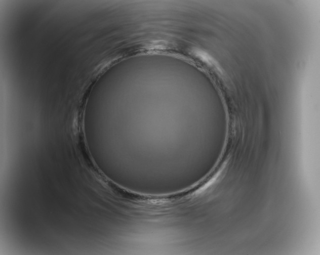X0000089731353200707051731