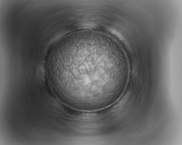 X0000089731354200707051731