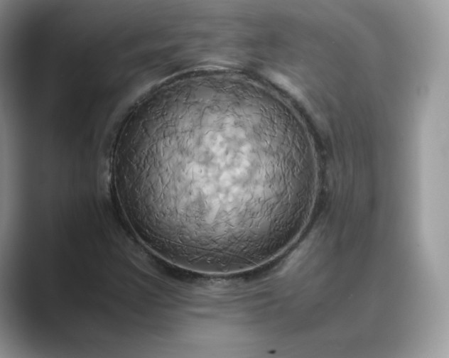 X0000089731355200707051731