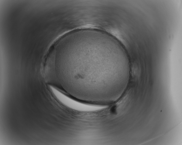X0000089731356200707051731
