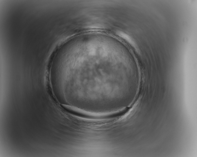 X0000089731357200707051731