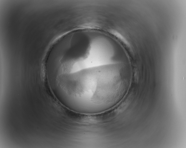 X0000089731358200707051731