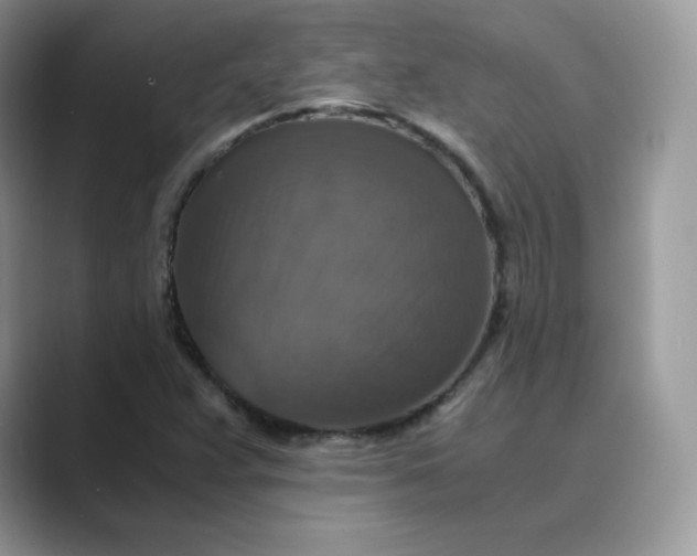 X0000089731359200707051731