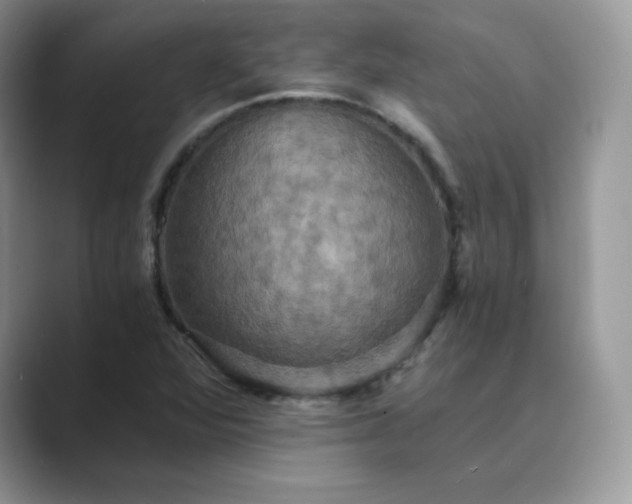 X0000089731360200707051731