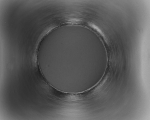 X0000089731362200707051731