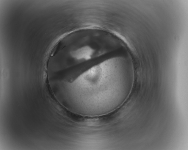 X0000089731363200707051731