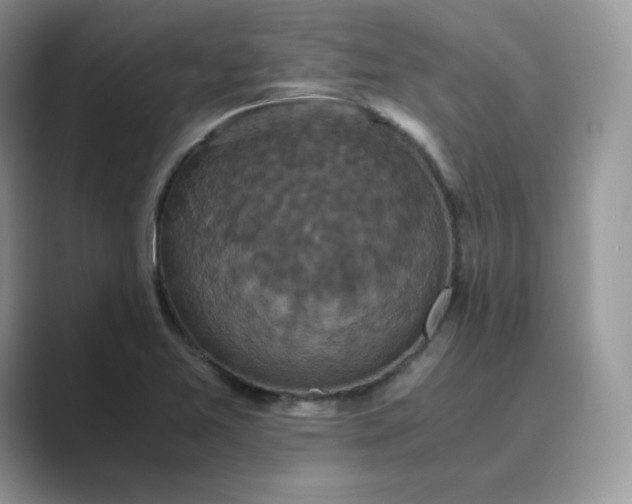 X0000089731365200707051731