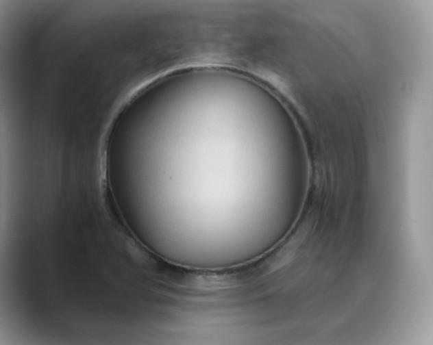 X0000089731366200707051731