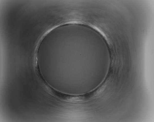 X0000089731367200707051731