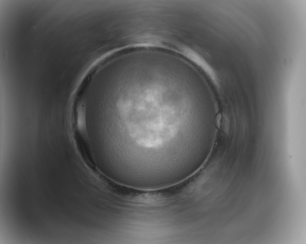 X0000089731368200707051731
