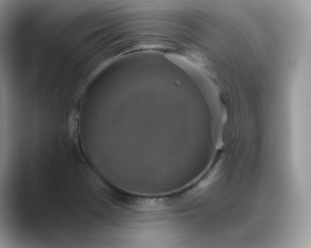 X0000089731369200707051731