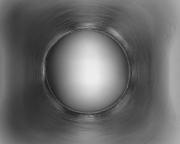 X0000089731370200707051731