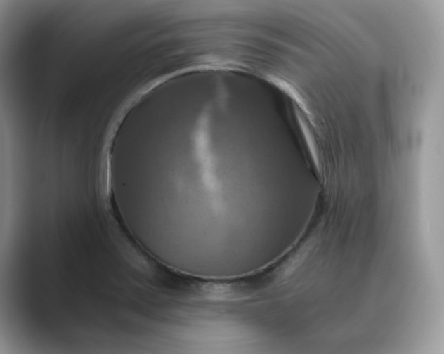 X0000089731371200707051731