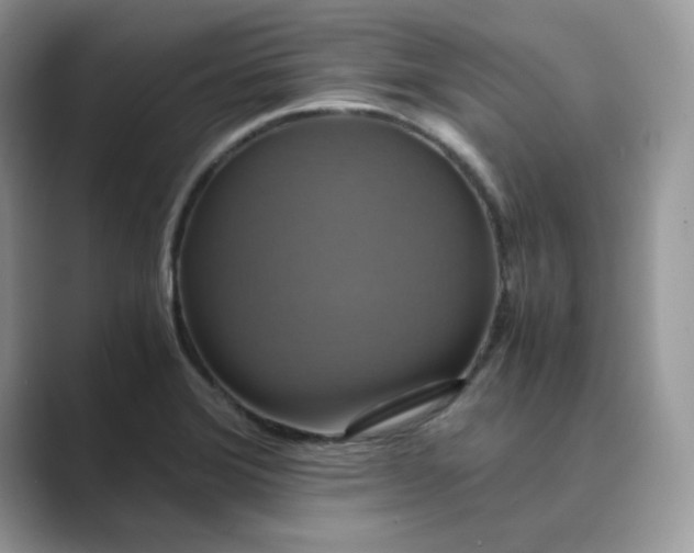 X0000089731372200707051731