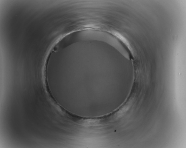 X0000089731373200707051731