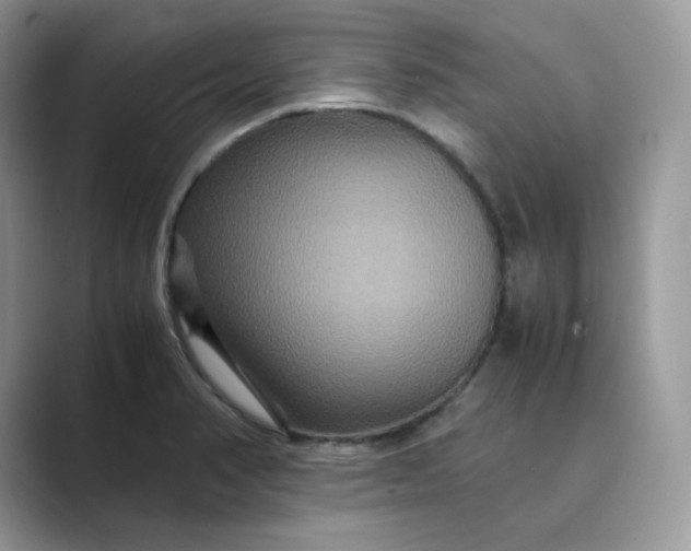 X0000089731374200707051731