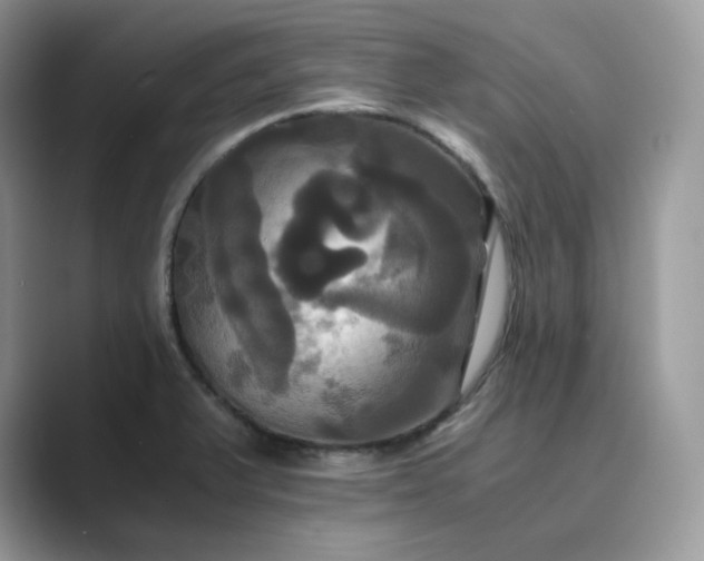 X0000089731375200707051731