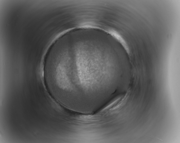 X0000089731376200707051731
