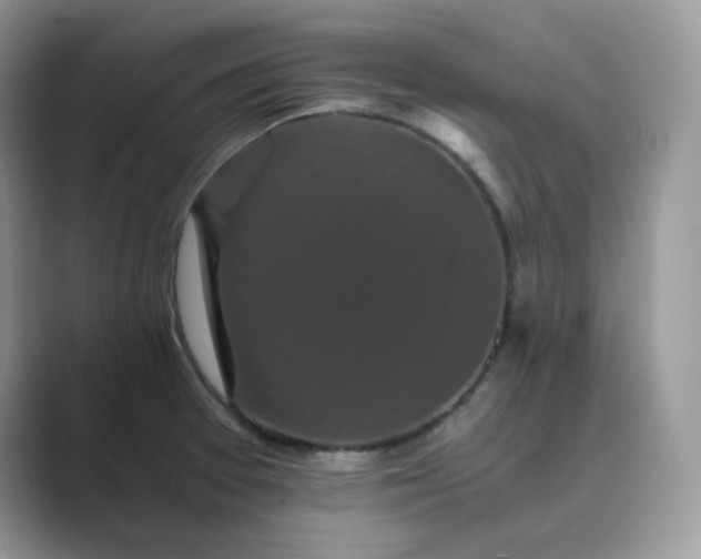 X0000089731377200707051731
