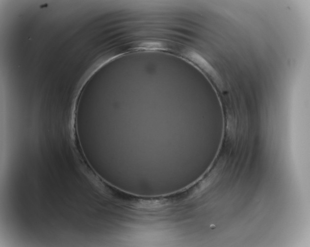 X0000089731378200707051731