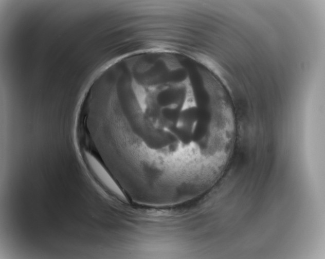 X0000089731379200707051731