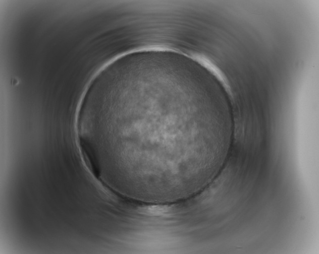 X0000089731380200707051731