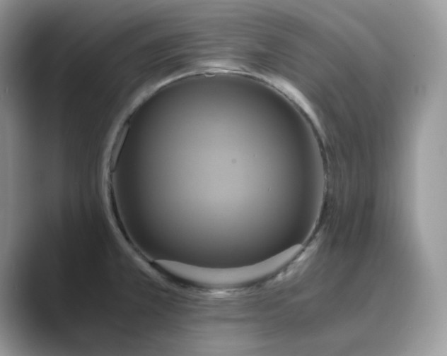 X0000089731381200707051731