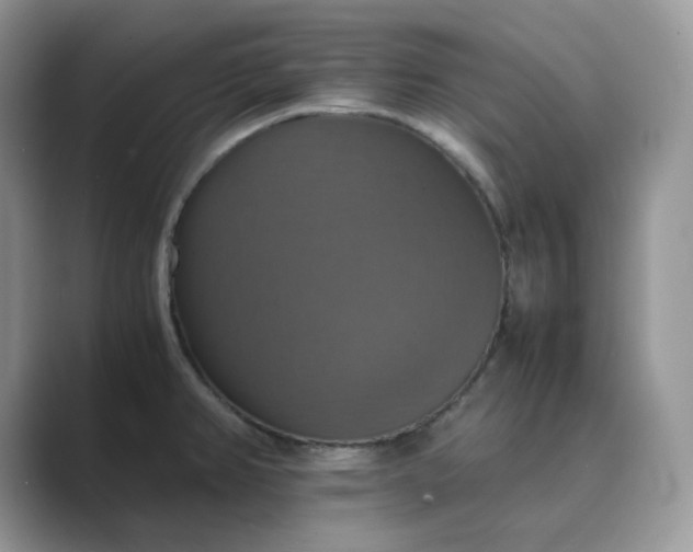 X0000089731382200707051731