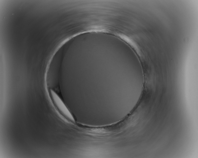 X0000089731383200707051731
