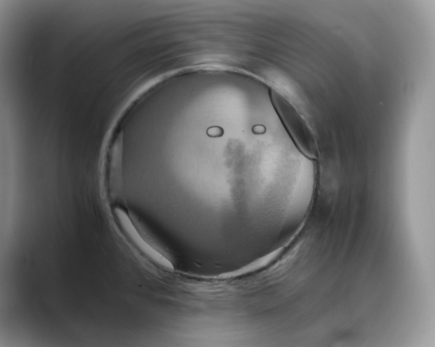 X0000089731384200707051731
