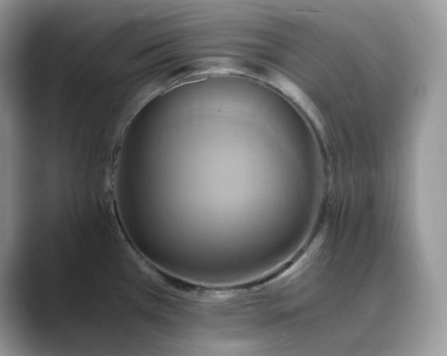 X0000089731385200707051731