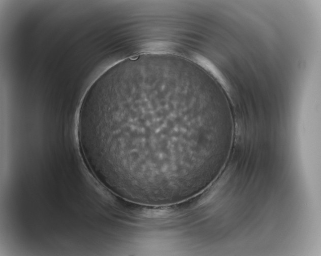 X0000089731386200707051731