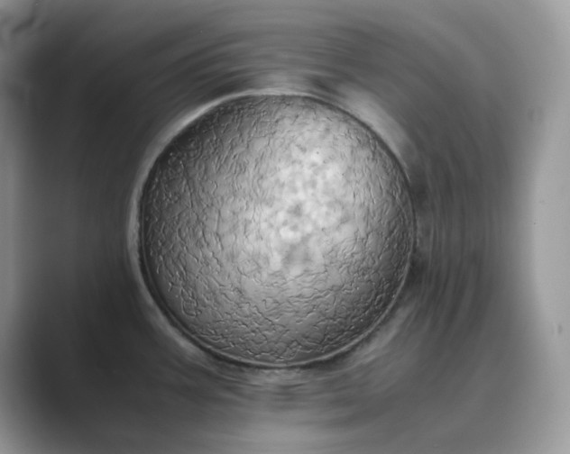 X0000089731387200707051731
