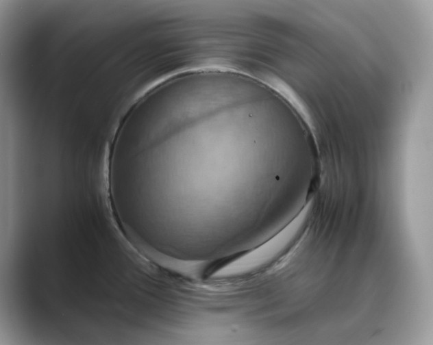 X0000089731388200707051731