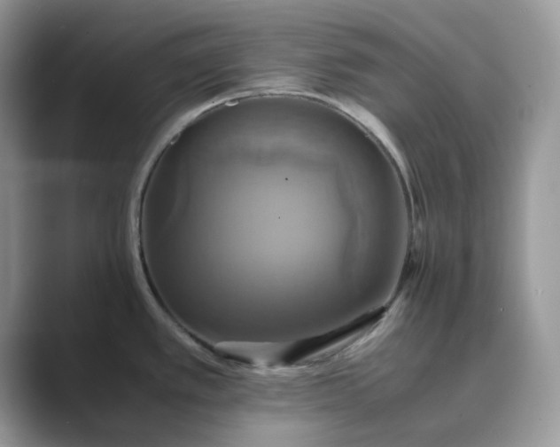 X0000089731389200707051731