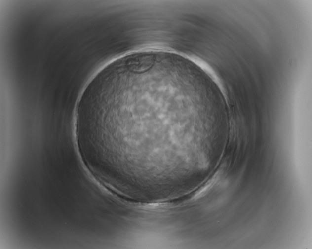 X0000089731390200707051731