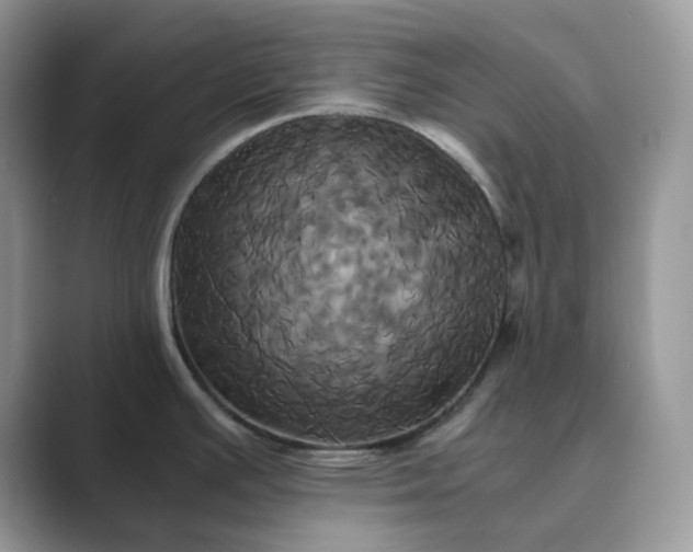 X0000089731391200707051731