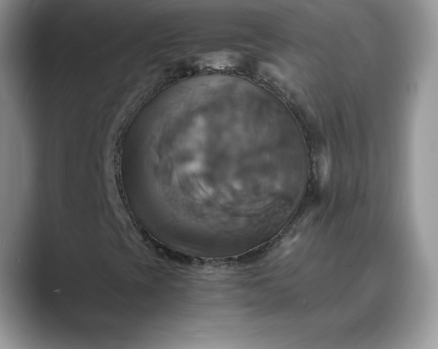 X0000089731393200707051730