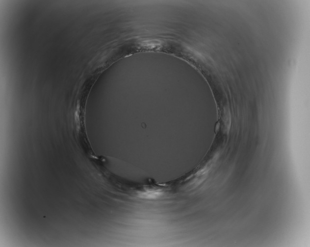 X0000089731394200707051730