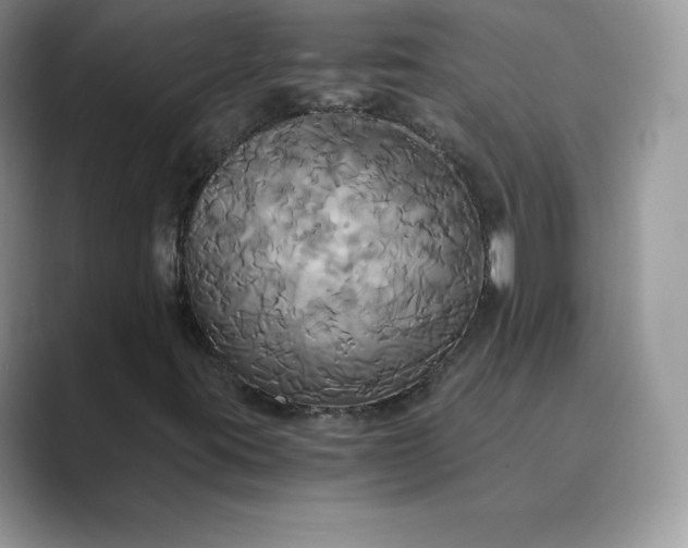 X0000089731395200707051730