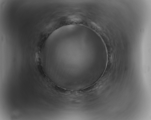 X0000089731397200707051730