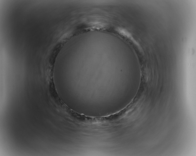 X0000089731399200707051730
