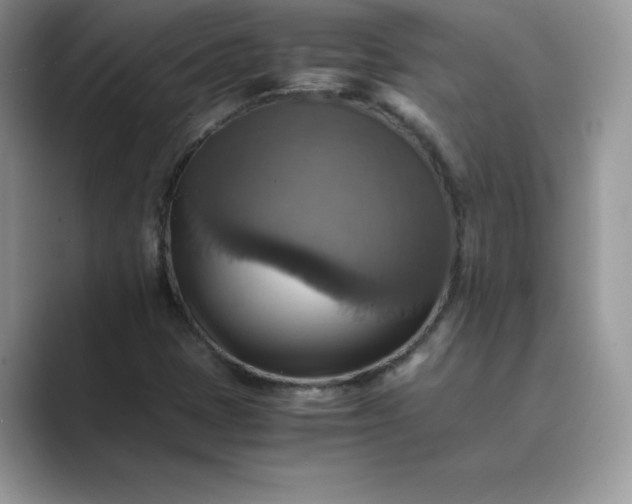 X0000089731401200707051730