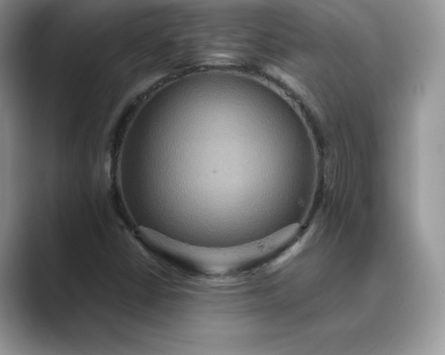 X0000089731402200707051730